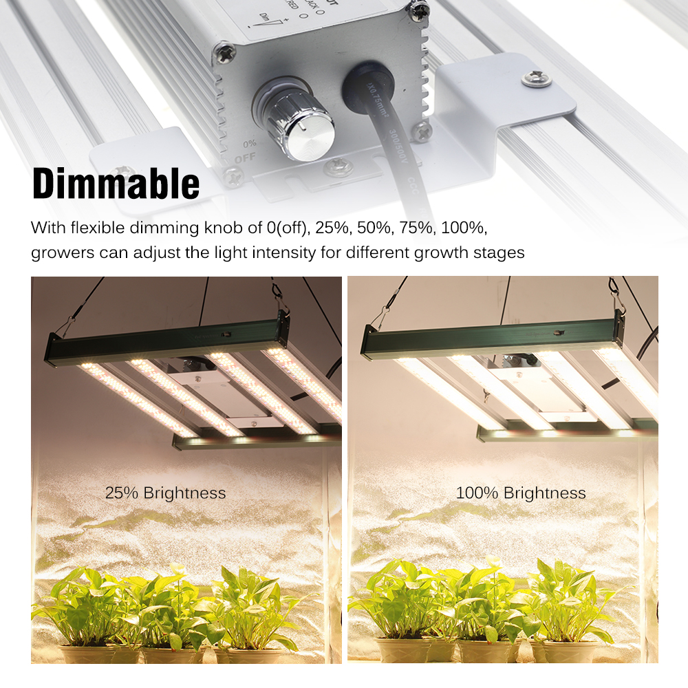 Luz LED de cultivo de espectro - Greenhouse Mini Indoor reseña y precio