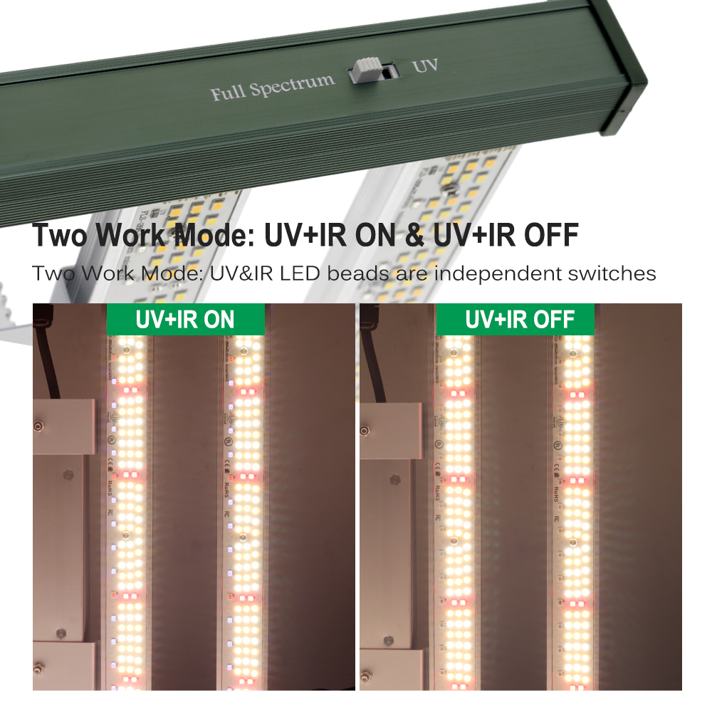 Luz LED de cultivo de espectro - Greenhouse Mini Indoor reseña y precio