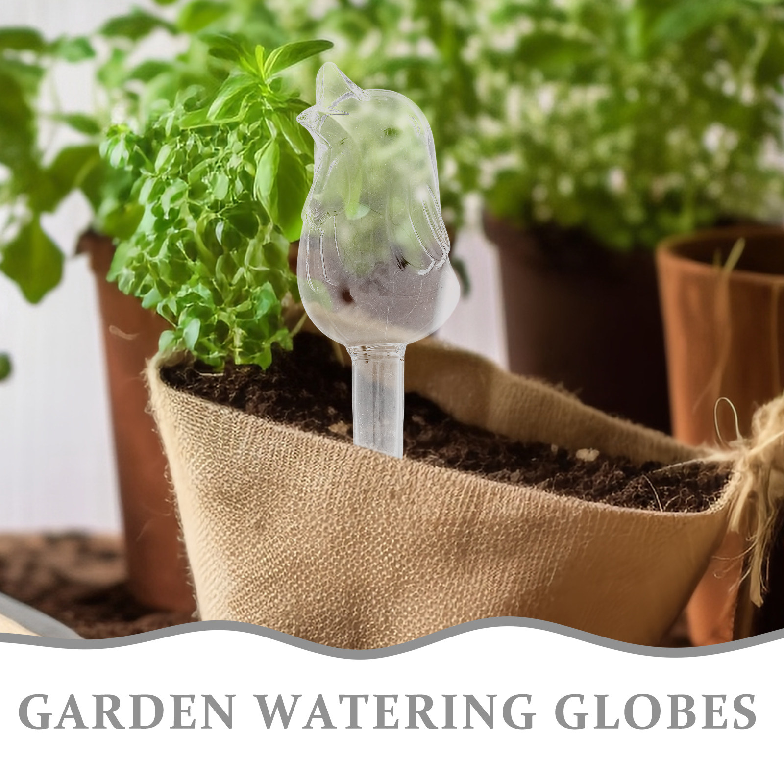 Globos de Riego de Vidrio con  - Automatic Plant Waterer reseña y precio