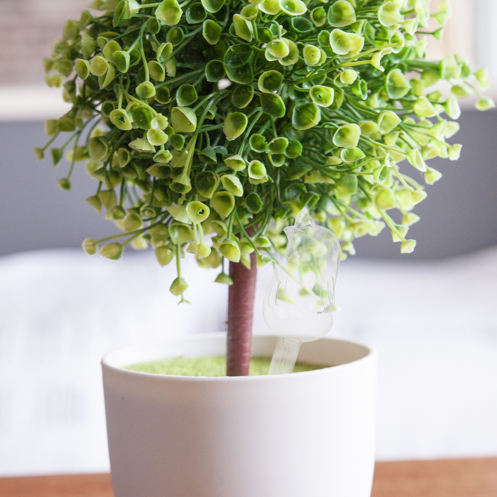 Globos de Riego de Vidrio con  - Automatic Plant Waterer reseña y precio