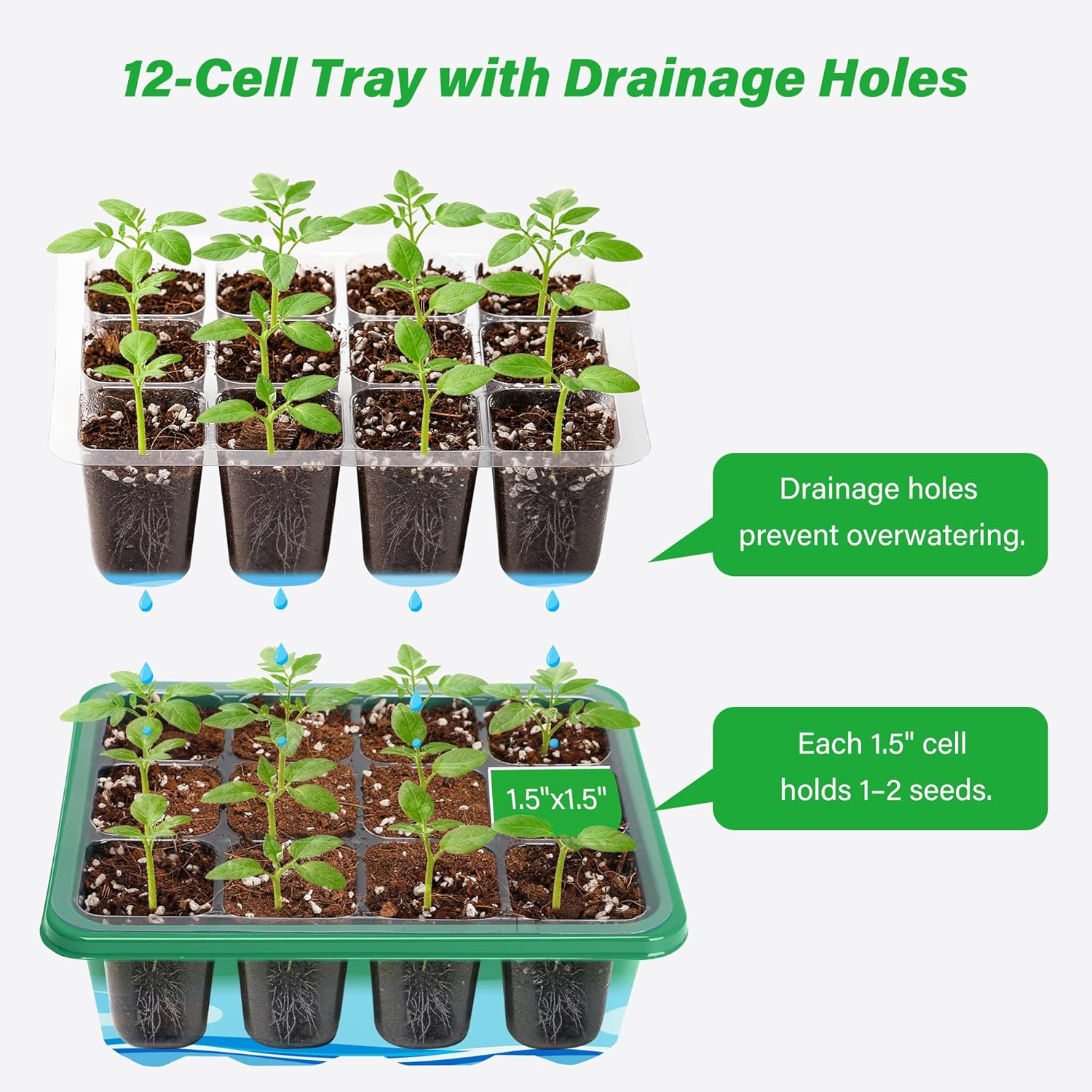 Kit de Inicio para Cultivo de  - Greenhouse Mini Indoor reseña y precio