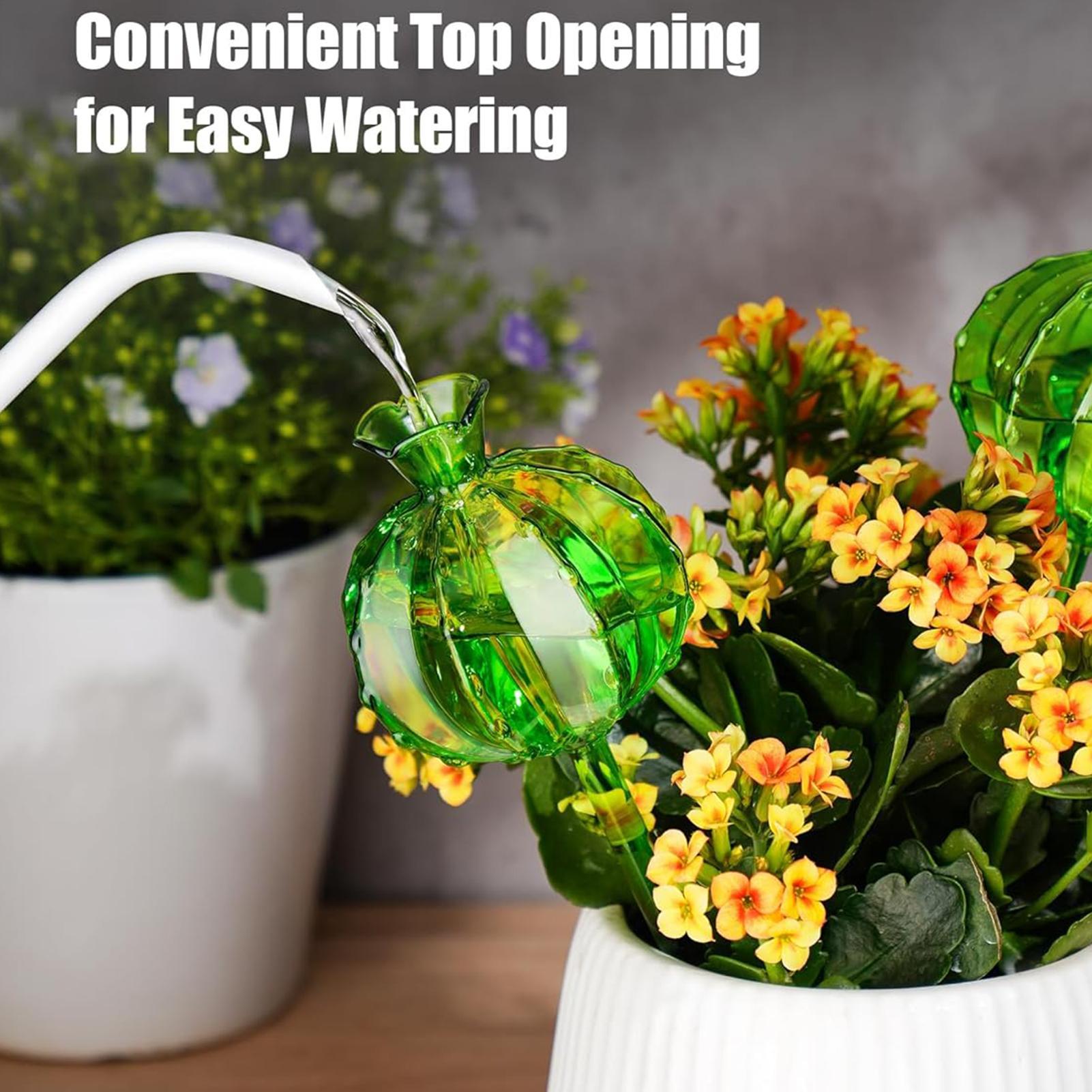 Estacas de riego para plantas, - Automatic Plant Waterer reseña y precio